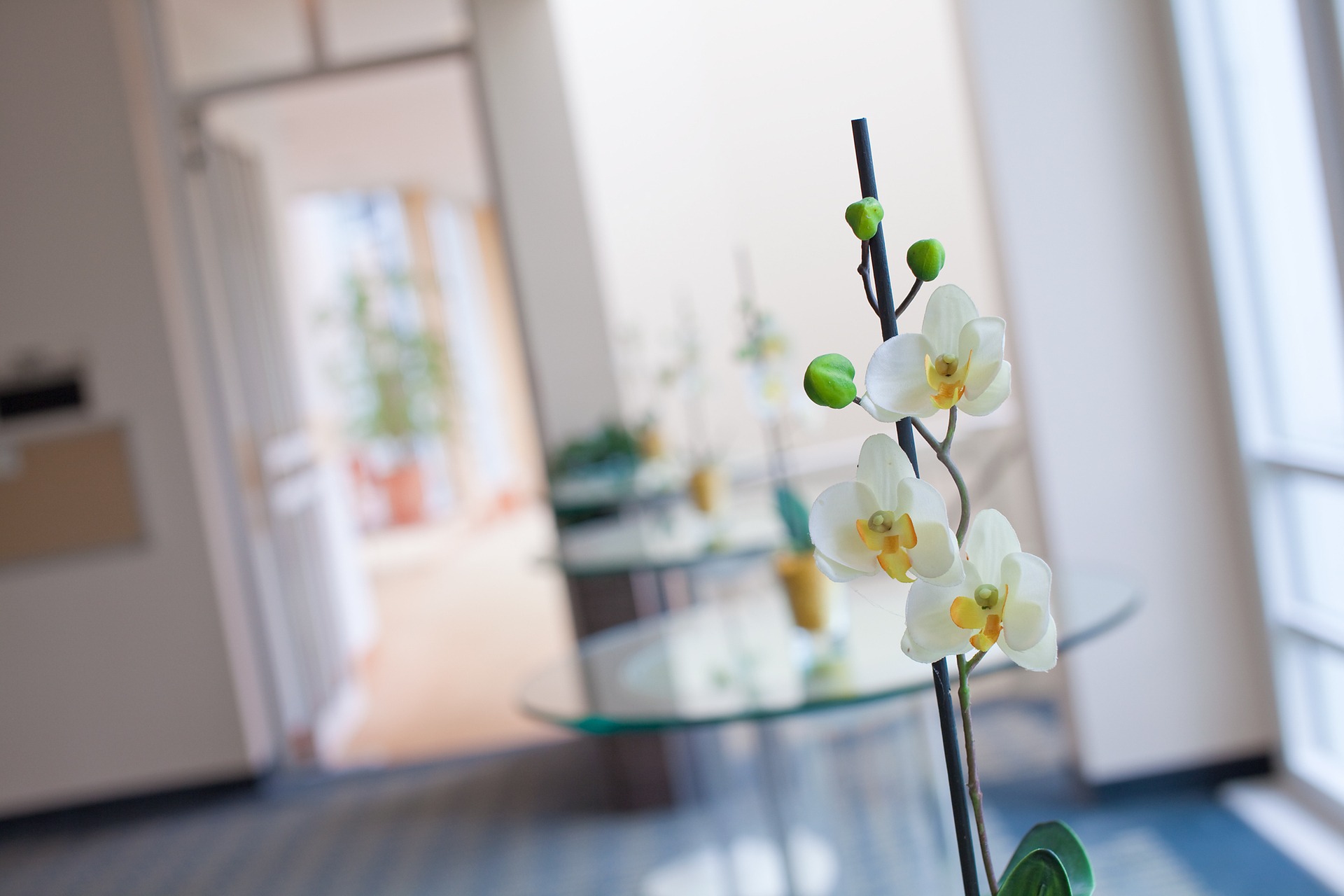 Seminarhotel relexa hotel Bad Steben